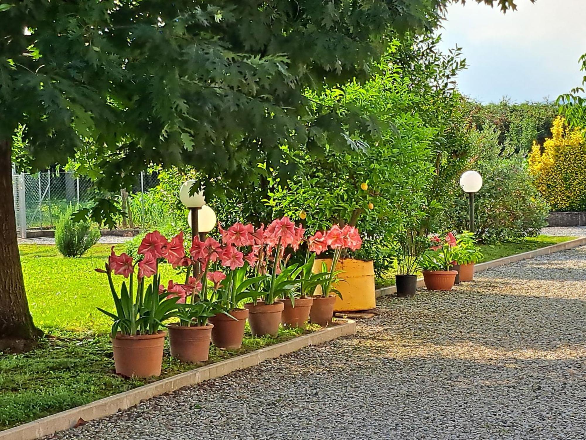 Hotel Borgo Barucchella Sant'Andra Exteriér fotografie